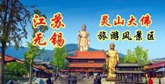 男的鸡巴操女的小穴的网站江苏无锡灵山大佛旅游风景区
